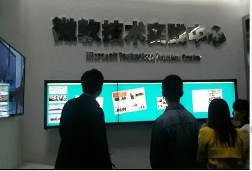 軟件開發 研究、設計、開發與維護計算機軟硬件系統的綜合能力